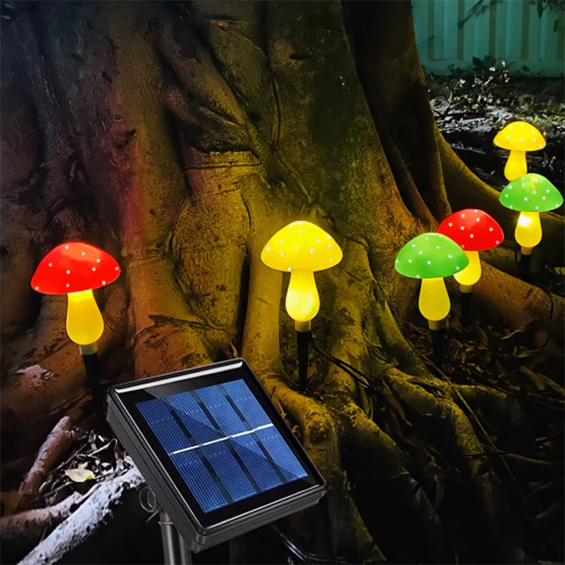 Hogar Mágico Solar - Hongos Luminosos