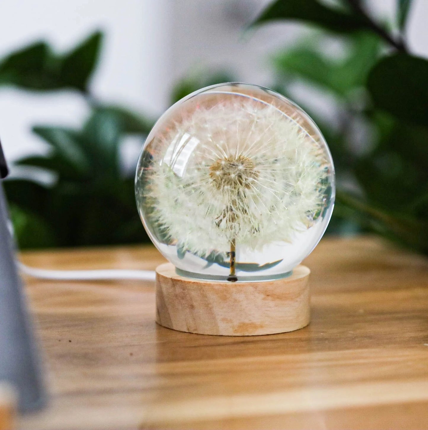 Dandelion Night Light, Real Dandelion Puff Paperweight, Flower Epoxy Resin Nightlight, Epoxy Resin Wood Table Lamp Father'S Day Gifts Idea