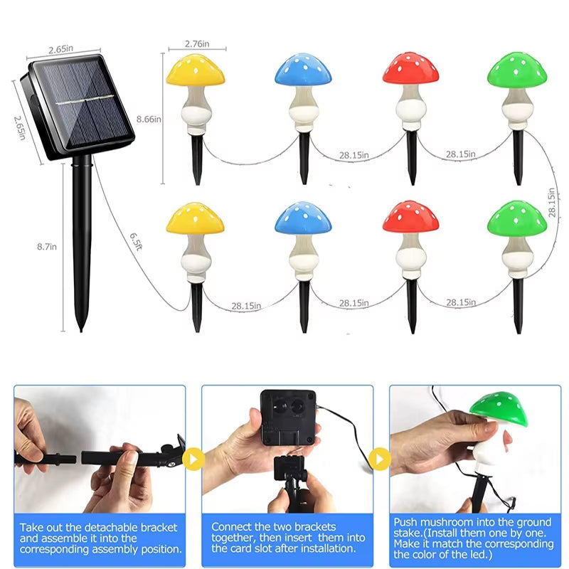 Hogar Mágico Solar - Hongos Luminosos