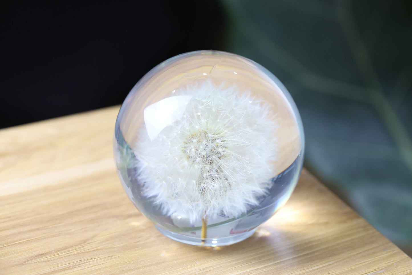 Dandelion Night Light, Real Dandelion Puff Paperweight, Flower Epoxy Resin Nightlight, Epoxy Resin Wood Table Lamp Father'S Day Gifts Idea