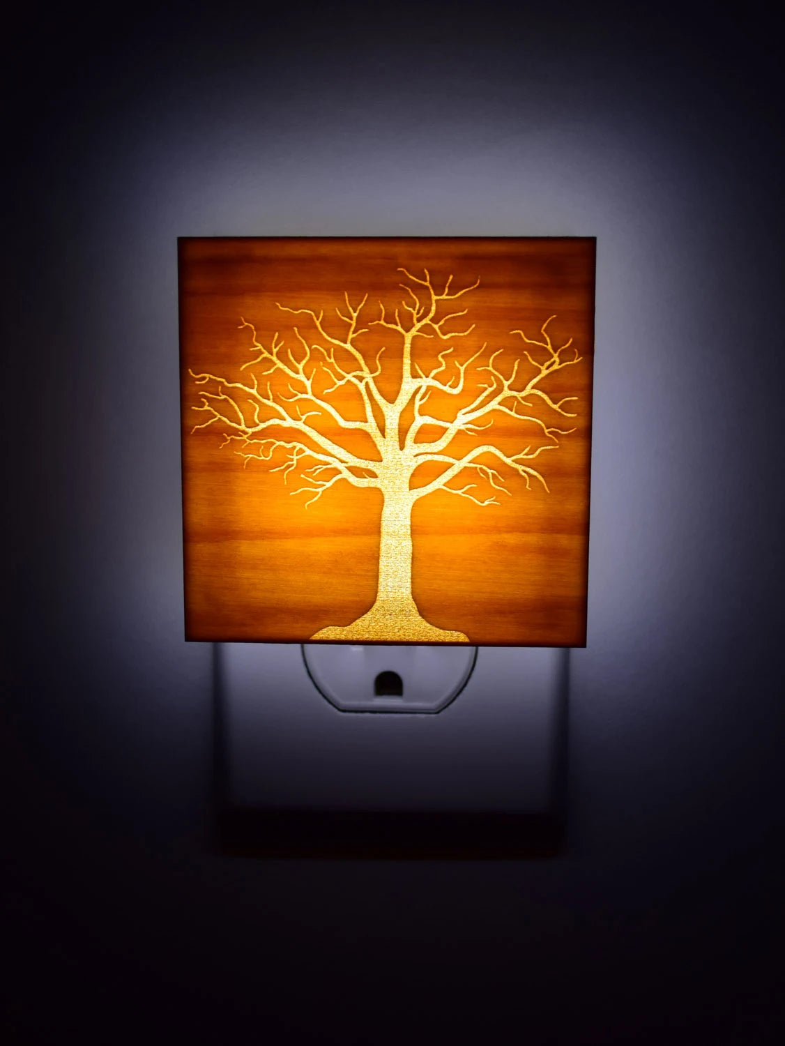 Luz Bonsái, Rustico Decoración