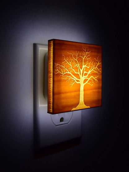 Luz Bonsái, Rustico Decoración