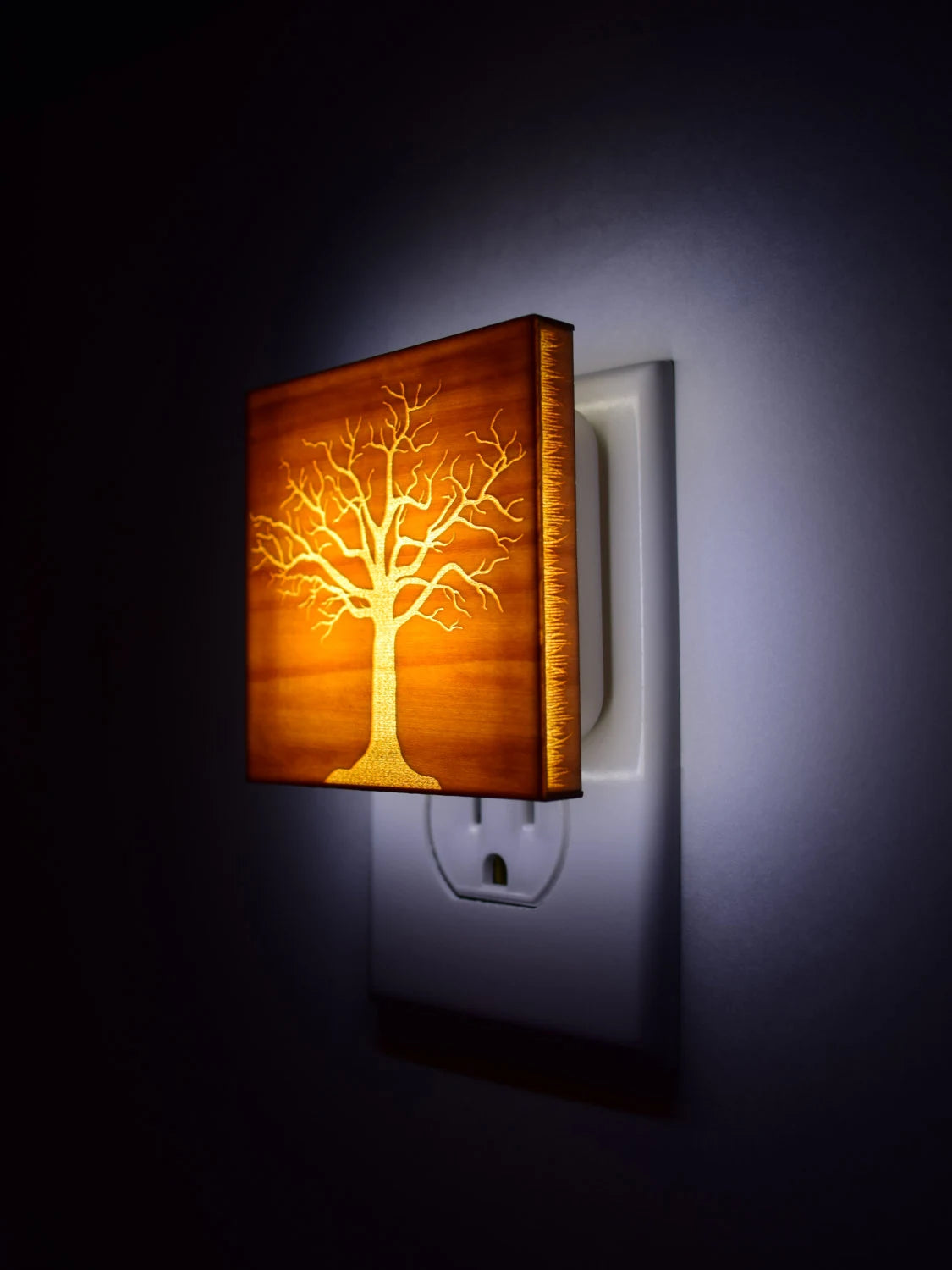 Luz Bonsái, Rustico Decoración