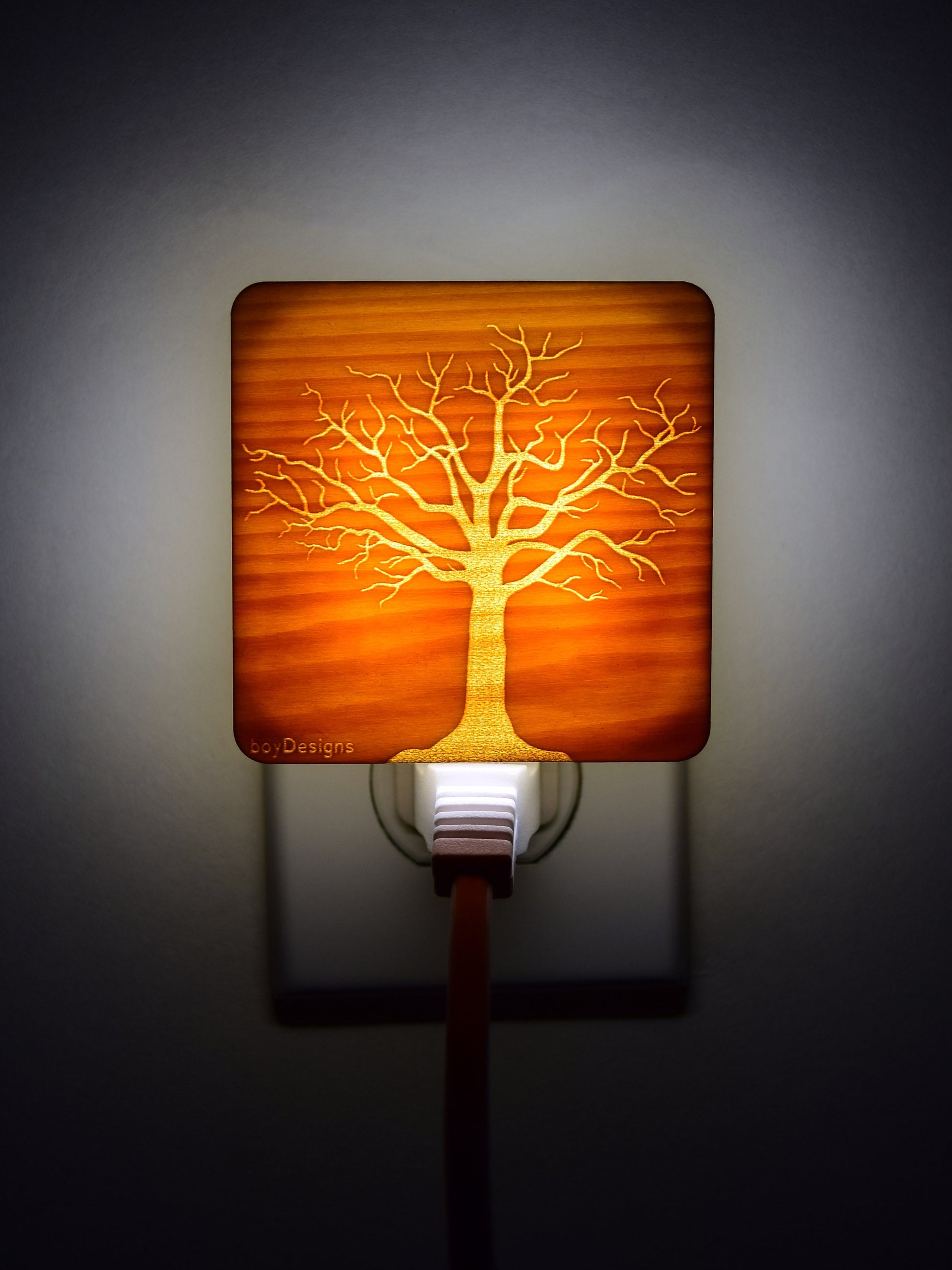 Luz Bonsái, Rustico Decoración