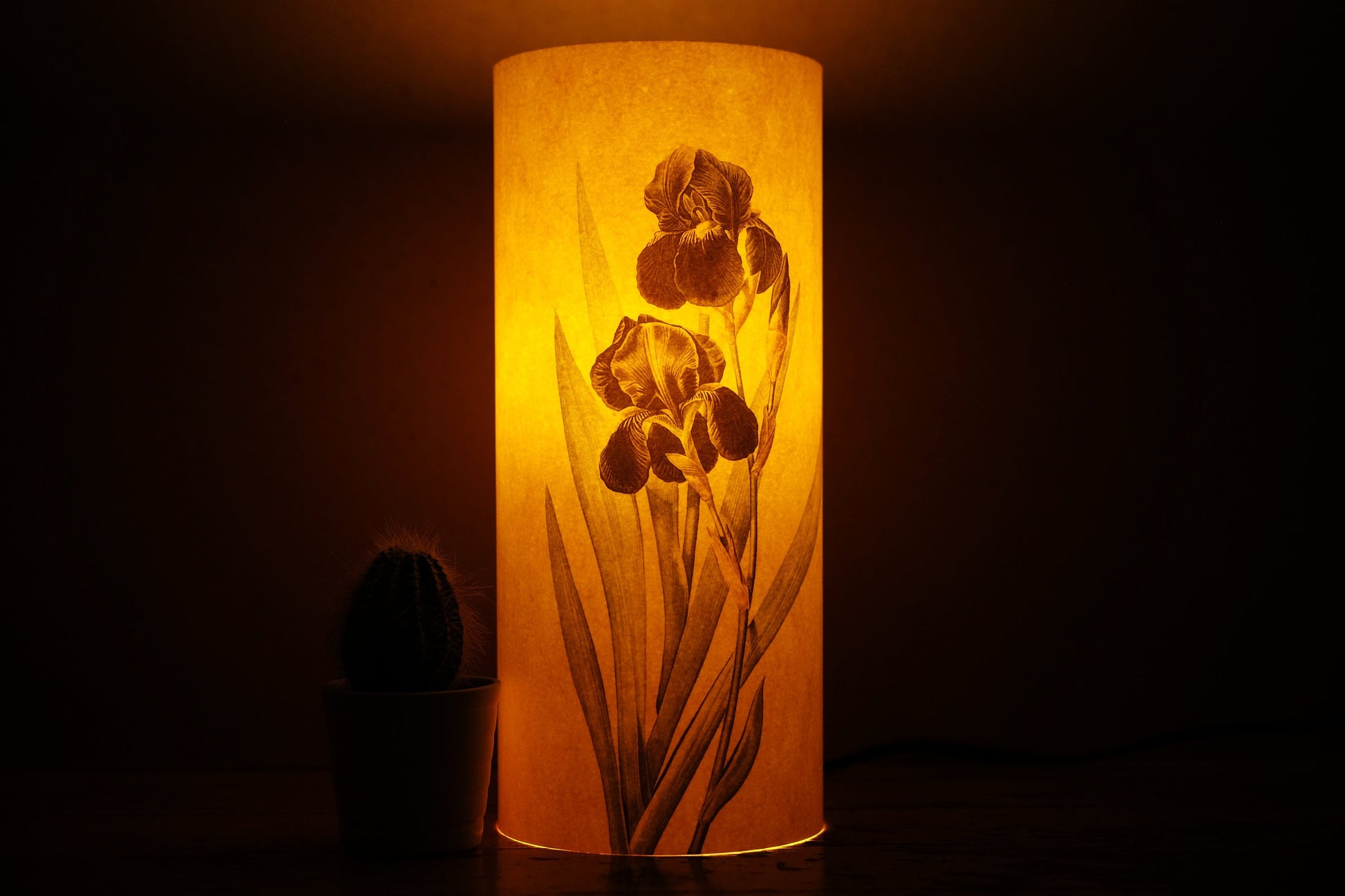 Lámpara de Papel Japonesa con Flores de Iris